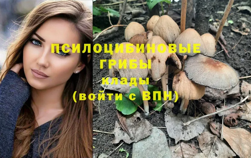 Псилоцибиновые грибы Psilocybine cubensis  Бабушкин 